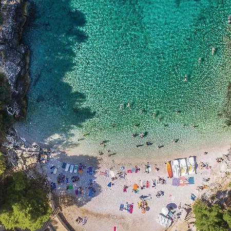 Cozy In With Wifi Appartamento