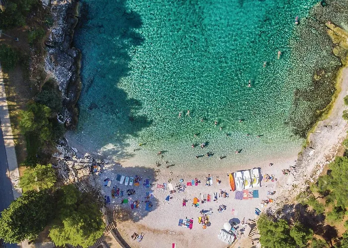 Cozy In With Wifi Appartamento